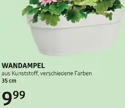 Bellaflora Wandampel Angebot