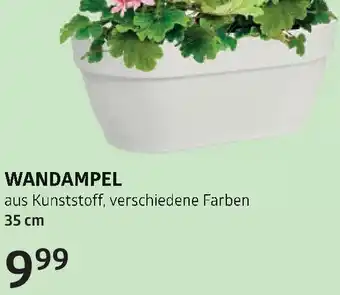 Bellaflora Wandampel Angebot