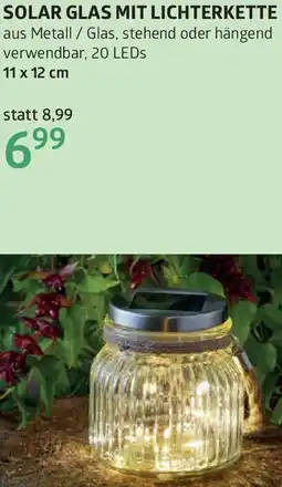 Bellaflora Solar glas mit lichterkette Angebot