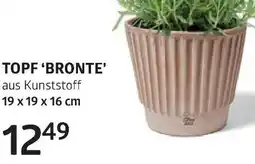 Bellaflora Topf bronte Angebot
