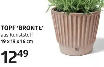 Bellaflora Topf bronte Angebot