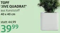 Bellaflora Topf jive quadrat Angebot