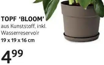Bellaflora Topf bloom Angebot