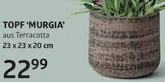 Bellaflora Topf murgia Angebot