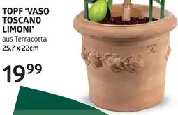 Bellaflora Topf vaso toscano limoni Angebot
