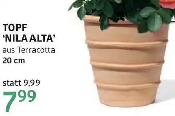 Bellaflora Topf nila alta Angebot