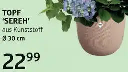 Bellaflora Topf sereh Angebot