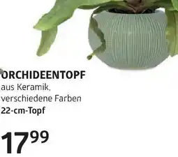 Bellaflora Orchideentopf Angebot