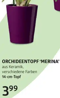 Bellaflora Orchideentopf merina Angebot