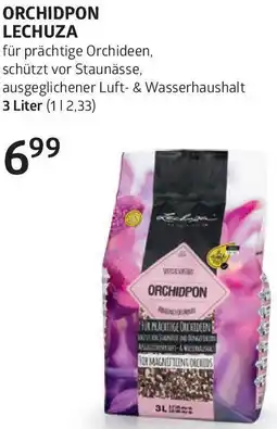 Bellaflora Orchidpon lechuza Angebot