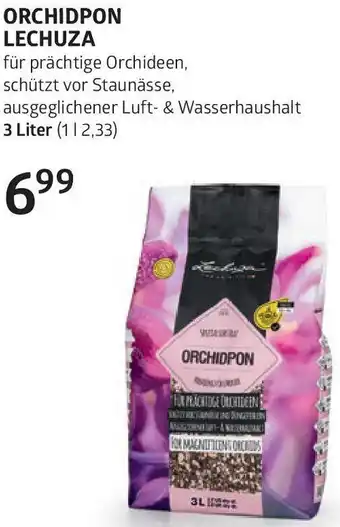 Bellaflora Orchidpon lechuza Angebot