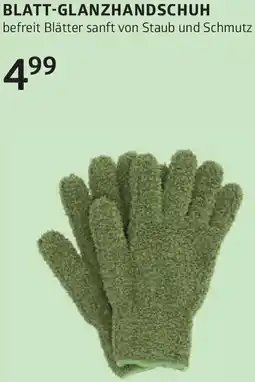 Bellaflora Blatt-glanzhandschuh Angebot