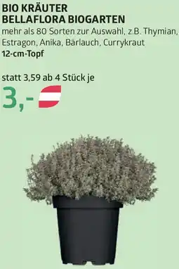 Bellaflora Bio kräuter bellaflora biogarten Angebot