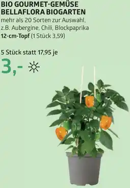 Bellaflora Bio gourmet-gemüse bellaflora biogarten Angebot
