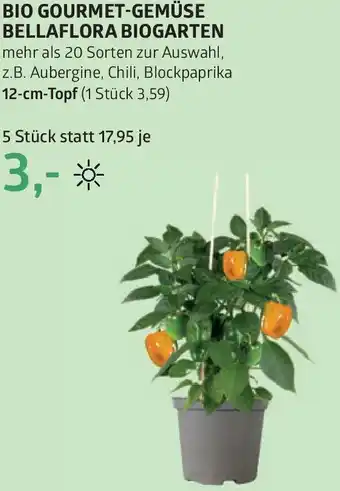 Bellaflora Bio gourmet-gemüse bellaflora biogarten Angebot