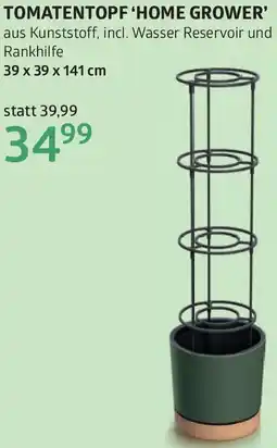 Bellaflora Tomatentopf home grower Angebot