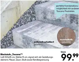 Hellweg Blockstufe Toscana Angebot