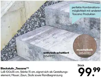 Hellweg Blockstufe Toscana Angebot
