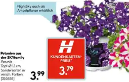 Hellweg Petunien aus der SKYfamily Angebot