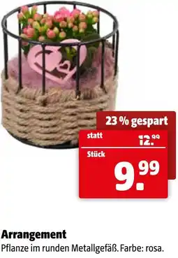 Der Grissemann Arrangement Angebot