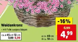 Thomas Philipps Weidenkranz Angebot