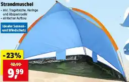 Thomas Philipps Strandmuschel Angebot