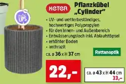 Thomas Philipps Pflanzkübel Cylinder Angebot