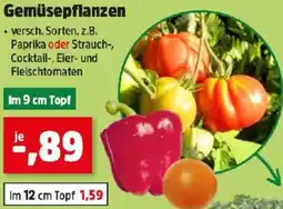 Thomas Philipps Gemüsepflanzen Angebot