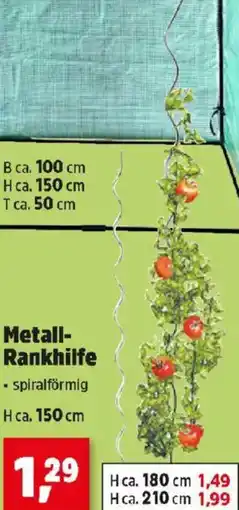 Thomas Philipps Metall- Rankhilfe Angebot