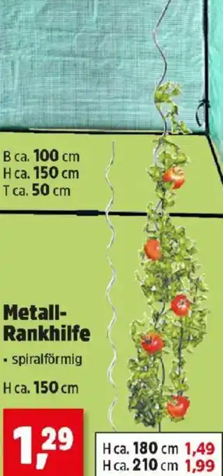 Thomas Philipps Metall- Rankhilfe Angebot