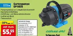 Thomas Philipps Gartenpumpe Angebot