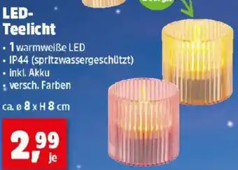 Thomas Philipps LED- Teelicht Angebot