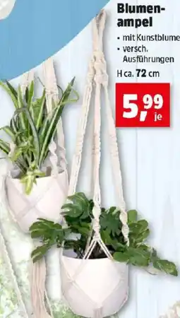 Thomas Philipps Blumen- ampel Angebot