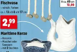 Thomas Philipps Fischvase Angebot