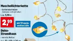 Thomas Philipps Muschellichterkette Angebot