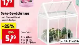 Thomas Philipps Deko-Gewächshaus Angebot
