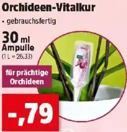 Thomas Philipps Orchideen-Vitalkur Angebot