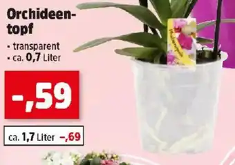 Thomas Philipps Orchideen- topf Angebot