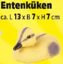 Thomas Philipps Entenküken Angebot