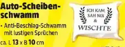 Thomas Philipps Auto-Scheiben- schwamm Angebot