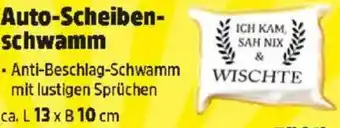 Thomas Philipps Auto-Scheiben- schwamm Angebot