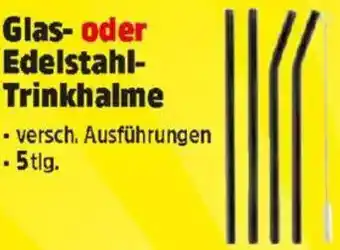 Thomas Philipps Glas- oder Edelstahl- Trinkhalme Angebot