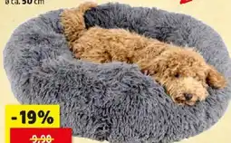 Thomas Philipps Tier-Plüschbett Donut Angebot