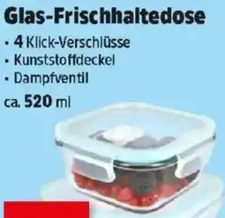 Thomas Philipps Glas-Frischhaltedose Angebot