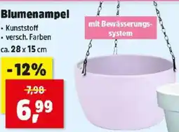Thomas Philipps Blumenampel Angebot