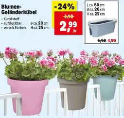 Thomas Philipps Blumen- Geländerkübel Angebot