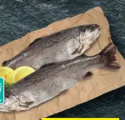 Lidl Holzinger Fisch Forelle Angebot
