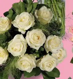 Lidl Klimesch for Moments Rosenstrauß exklusiv Angebot