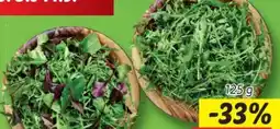 Lidl Rucola Angebot