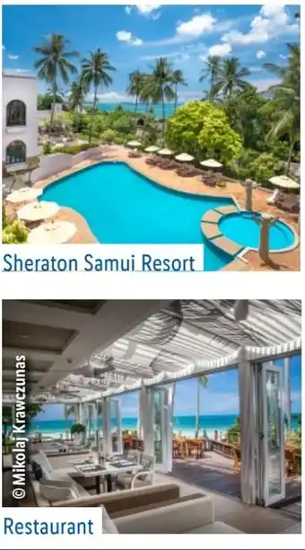 Lidl Lidl-Reisen Thailand Koh Samui Angebot